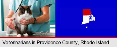 a veterinarian and a cat; Providence County highlighted in red on a map