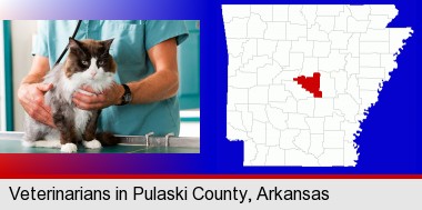 a veterinarian and a cat; Pulaski County highlighted in red on a map