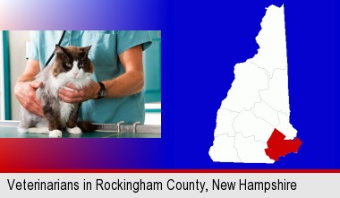 a veterinarian and a cat; Rockingham County highlighted in red on a map