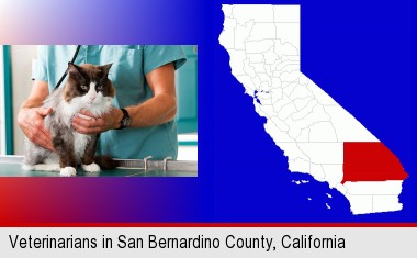 a veterinarian and a cat; San Bernardino County highlighted in red on a map