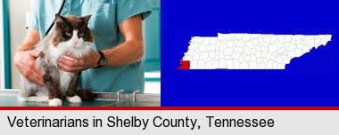 a veterinarian and a cat; Shelby County highlighted in red on a map