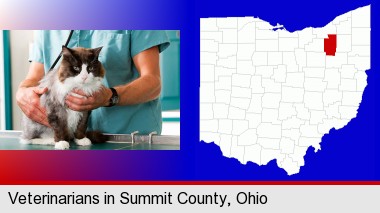 a veterinarian and a cat; Summit County highlighted in red on a map