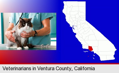 a veterinarian and a cat; Ventura County highlighted in red on a map