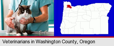 a veterinarian and a cat; Washington County highlighted in red on a map