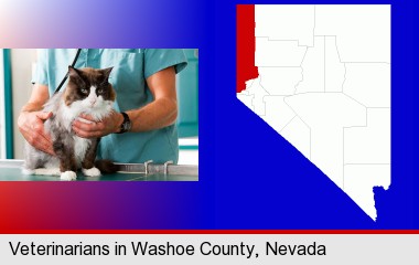 a veterinarian and a cat; Washoe County highlighted in red on a map