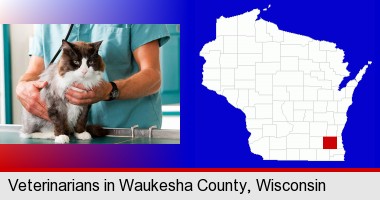 a veterinarian and a cat; Waukesha County highlighted in red on a map