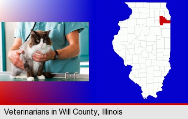 a veterinarian and a cat; Will County highlighted in red on a map