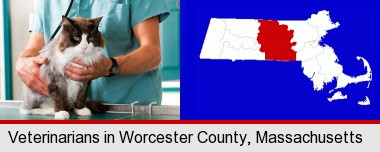 a veterinarian and a cat; Worcester County highlighted in red on a map